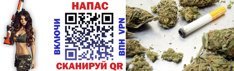 Конопля сатива  купить наркоту  hydra ТОР  Ставрополь 
